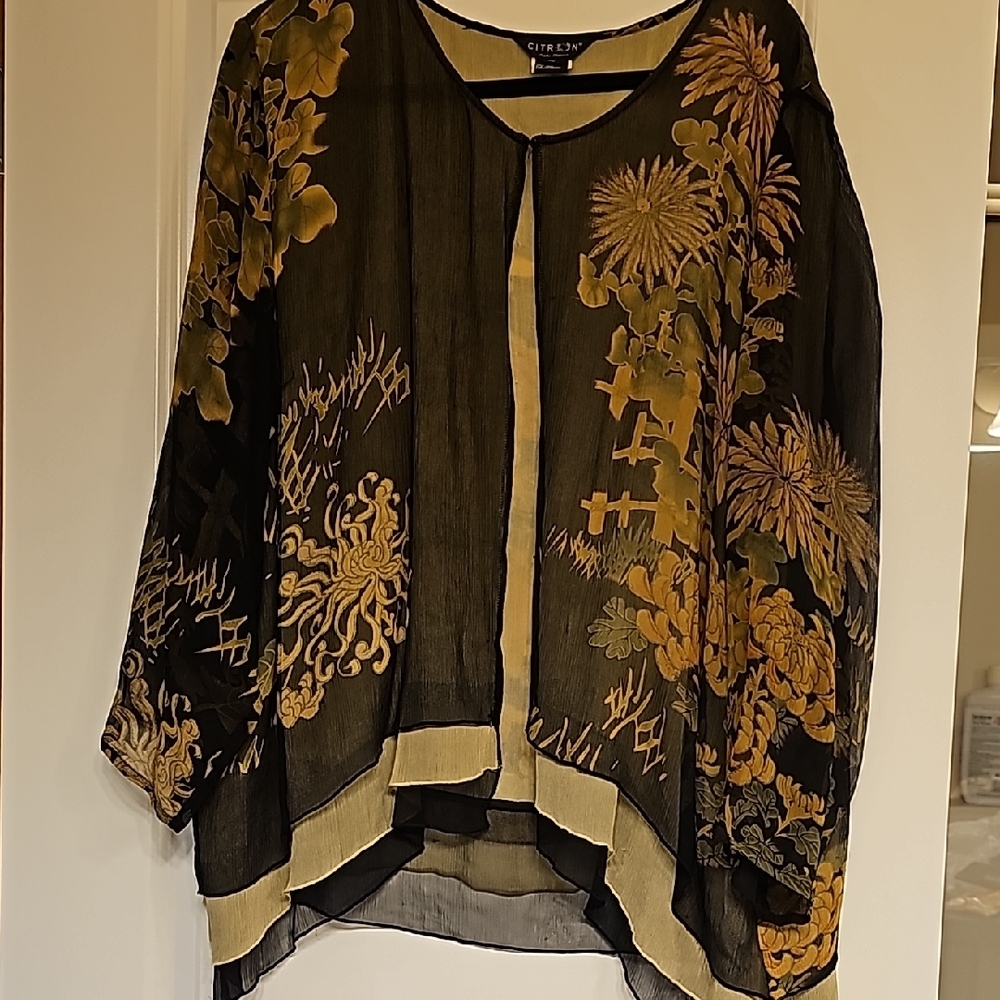 Citron Brown Green Scoop Neck Long Sleeve Boxy Blouse